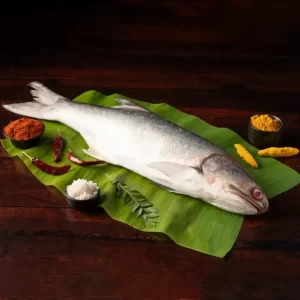 Indian Salmon / Rawas Whole