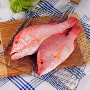 Red snapper whole 1.25 - 1.5 kg