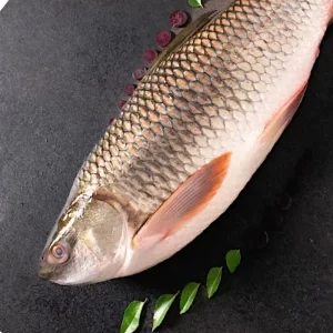 River Rohu Whole 1 - 1.2 kg