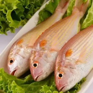 Rani /Pink Perch /Baby Red Snapper 1 Kg