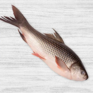 River Rohu Whole 3.5 - 4 kg